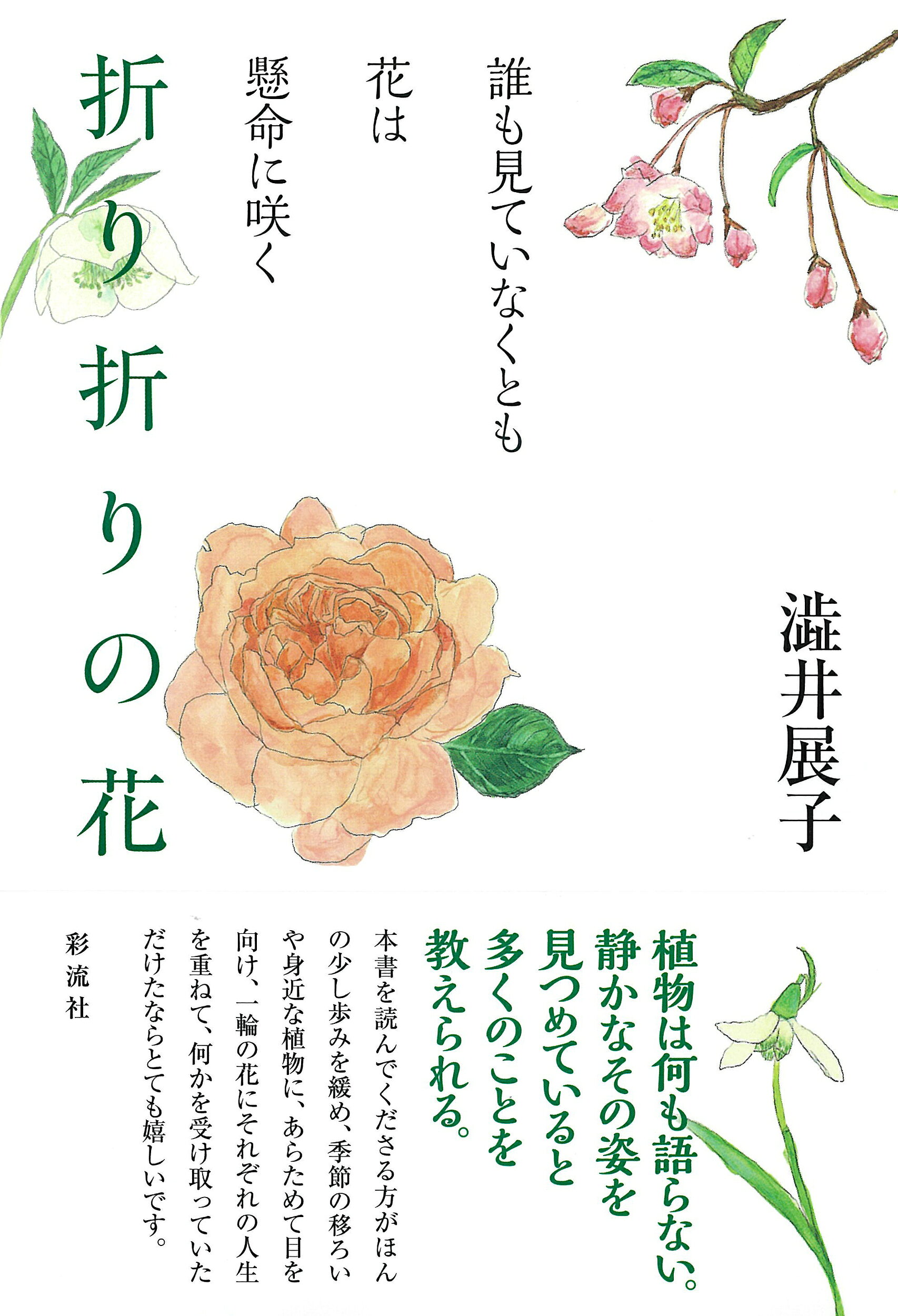 楽天市場】日本緑化センター 最新・樹木医の手引き 改訂4版/日本緑化