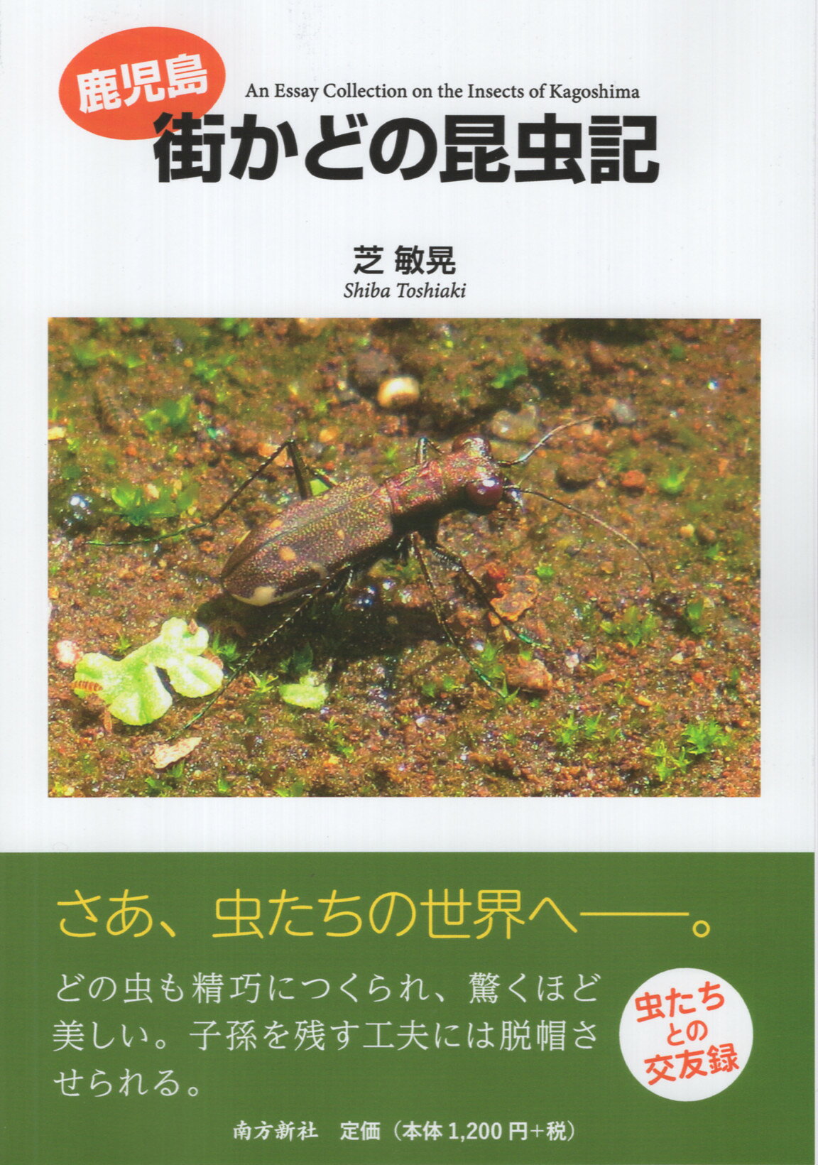 楽天市場】北隆館 最新日本列島の蝶類図鑑/北隆館/伊藤隆夫（理学