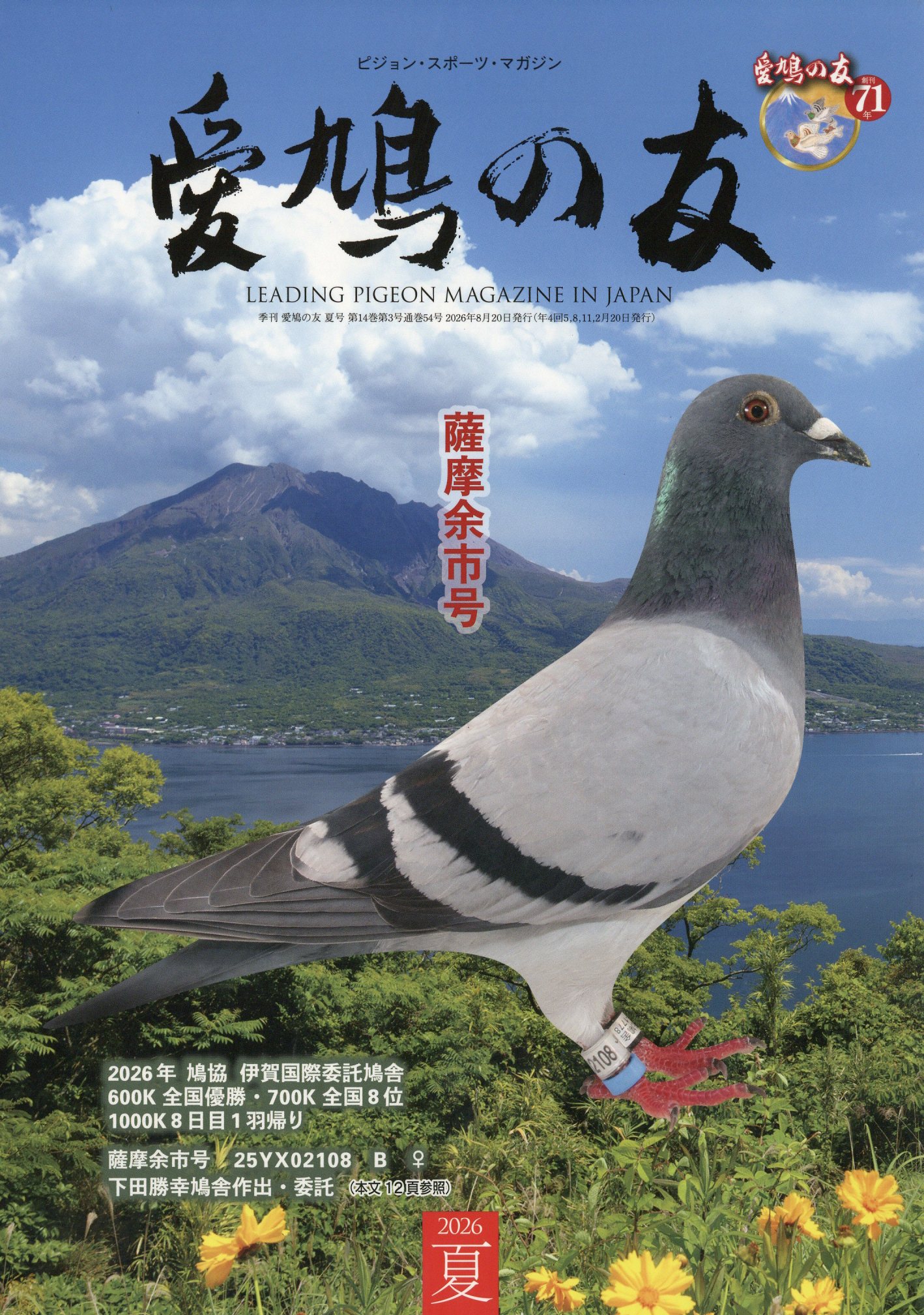 楽天市場】AIKYU NO TOMO (愛鳩の友) 2024年 02月号 [雑誌]/愛鳩の友社