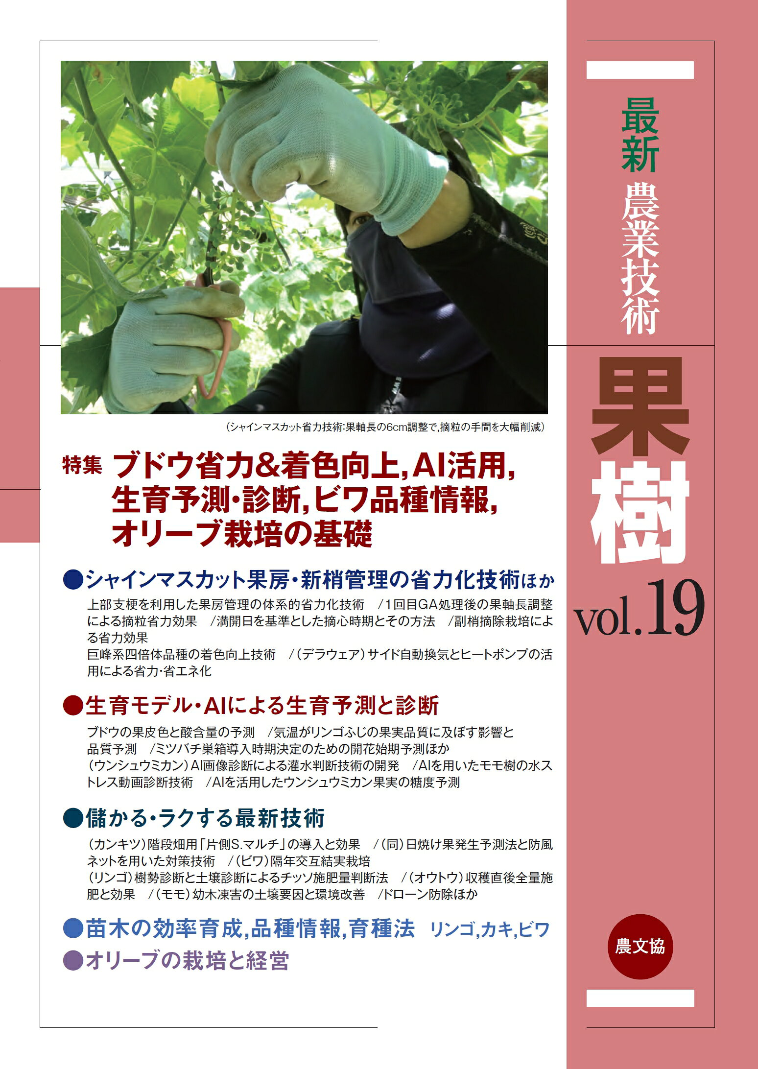 楽天市場】犬と猫の救急道場/どうぶつとひと出版/塗木貴臣 | 価格比較