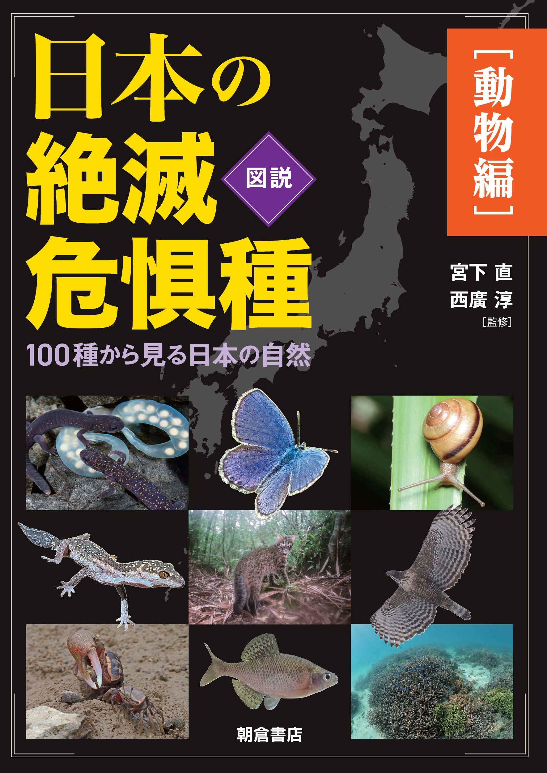 楽天市場】北隆館 原色日本動物図鑑/北隆館 | 価格比較 - 商品価格ナビ