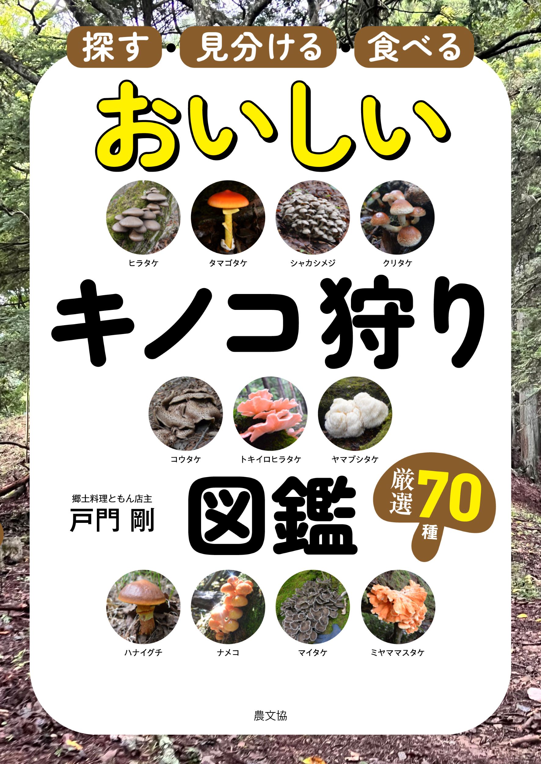 楽天市場】白山書房 関東周辺マルチピッチルート・スーパーガイド/白山
