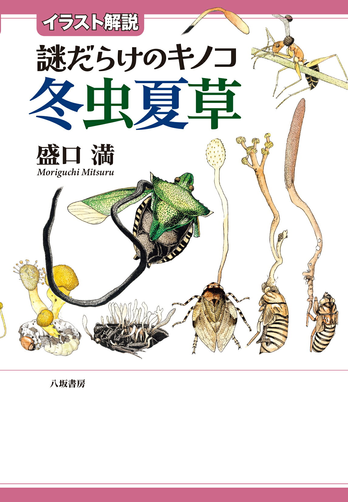 楽天市場】日本緑化センター 最新・樹木医の手引き 改訂4版/日本緑化