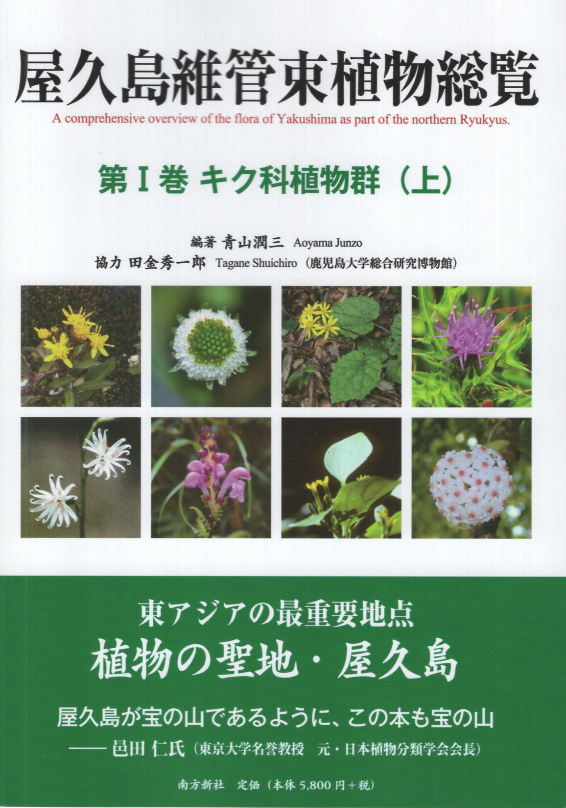 楽天市場】講談社 幻の植物を追って/講談社/荻巣樹徳 | 価格比較