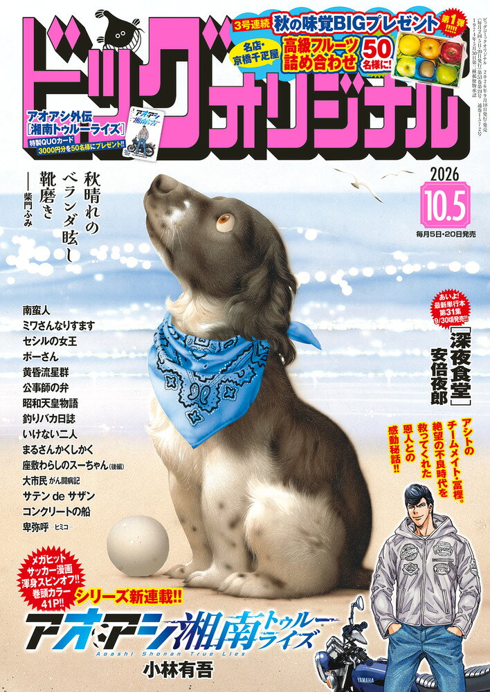 楽天市場】月刊ヤングマガジン 1号 2022年 1/6号 [雑誌]/講談社 | 価格