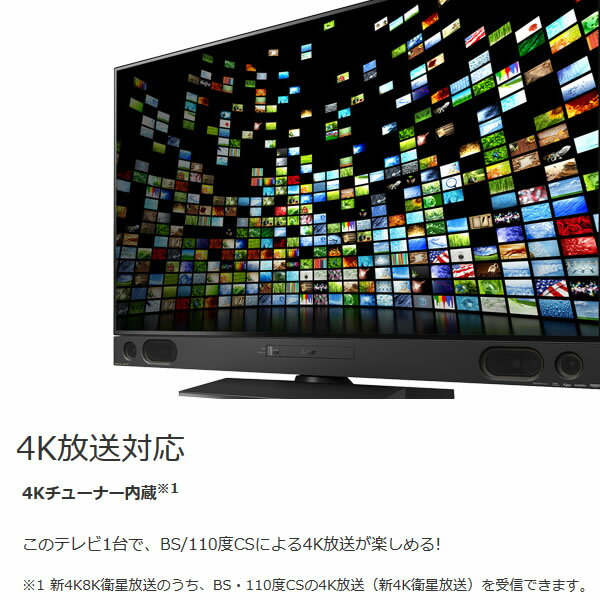LCD-A50RA200050V 三菱テレビ 液晶テレビ RA2000シリーズ LCD-A50RA2000 [50V型 /Bluetooth対応 /4K