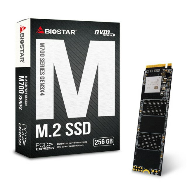 BIOSTAR SSD M700-256GB