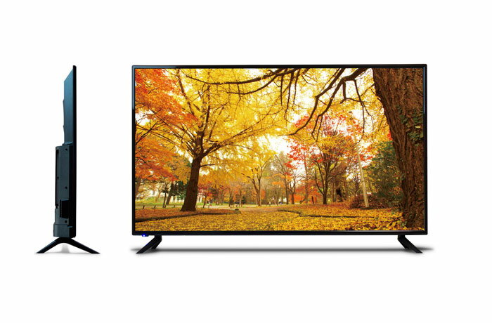 楽天市場】ティーズネットワーク TEES 50V型デジタルフル