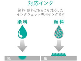 エレコム エコノミー光沢紙 薄手 A3 ホワイト EJK-GUA320(20枚入)