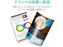 エレコム エコノミー光沢紙 薄手 A3 ホワイト EJK-GUA320(20枚入)