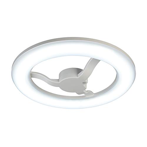 【２個】HotaluX ホタルクス LEDシーリングライト HLDZ08259 ホタルクス シーリングライト LED 8畳 2個セット 昼光色 洋風LED