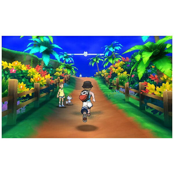 ３ＤＳ　ポケットモンスター　ウルトラムーン　【３ＤＳ】