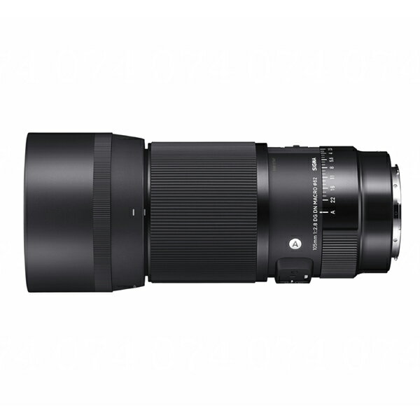 SIGMA 105mm F2.8 DG DN Macro Art