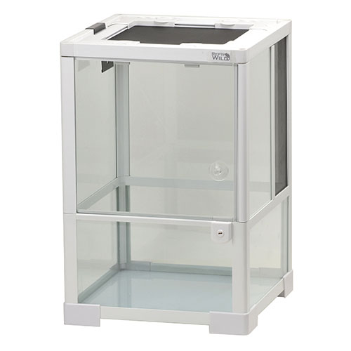 楽天市場】ジェックス GEX グラステラリウム6045 PT2610 | 価格比較