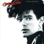 ピクチャーズ・フォー・プレジャー/ＣＤ/20P2-2060