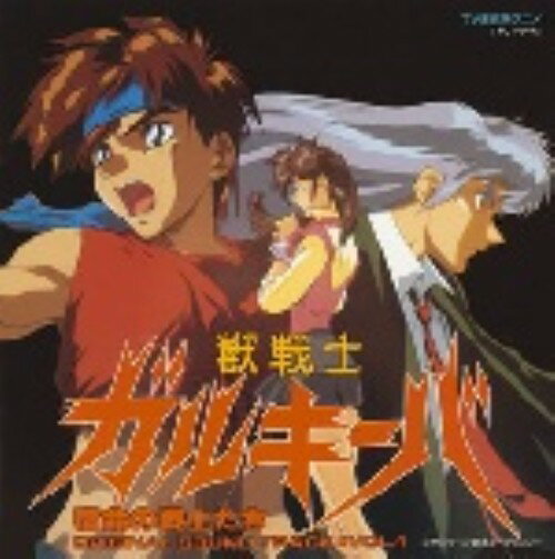 楽天市場】ビクターエンタテインメント 聖戦士ロビンJr