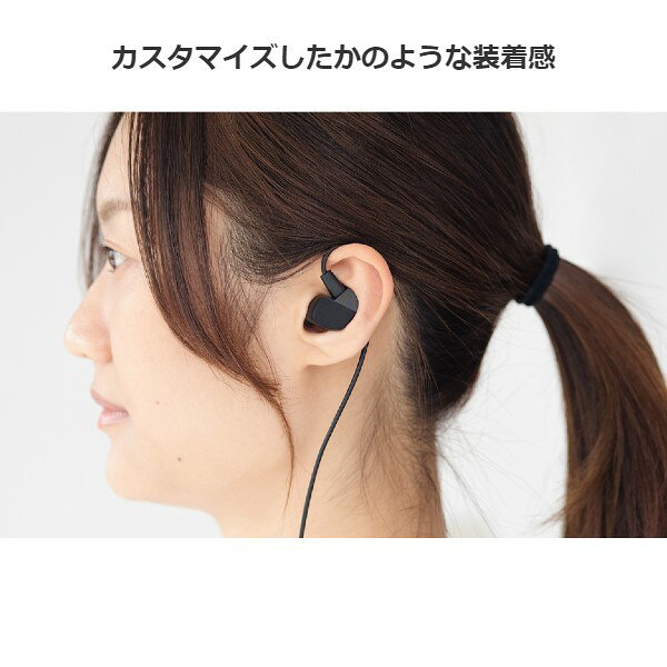 final イヤホン カナル型 FI-VR3DPLMB
