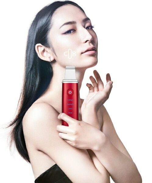 楽天市場】COSBEAUTY JAPAN COSBEAUTY 美顔器 アクリアルピーリング