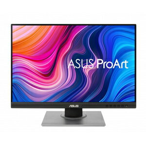 ASUS 液晶ディスプレイ PA248QV
