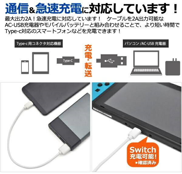 プラタ Type-Cケーブル WM-849-50