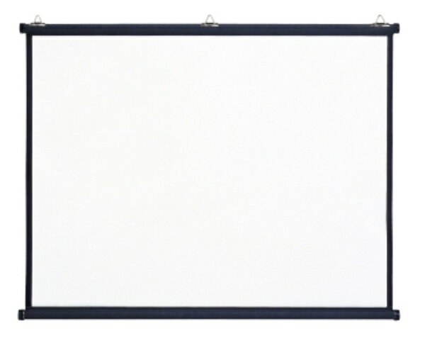 楽天市場】キクチ科学研究所 KIKUCHI 掛図スクリーン KHS-100HDAW