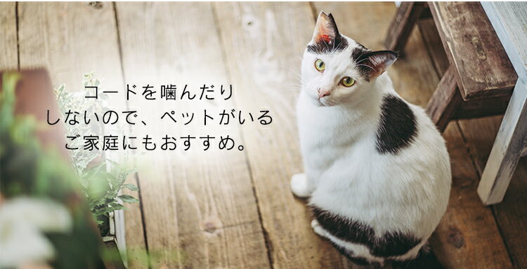 IRIS リモコン式壁掛け扇 WFC-306