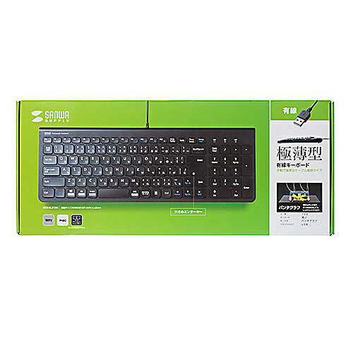 サンワサプライ USBスリムキーボード SKB-SL31BK