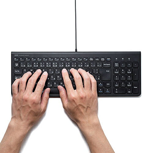 サンワサプライ USBスリムキーボード SKB-SL31BK