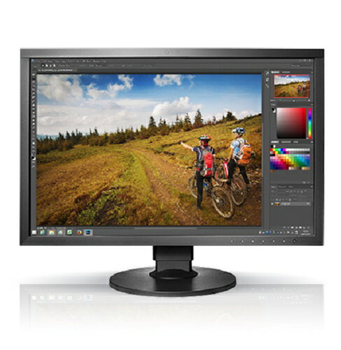 EIZO カラー液晶モニター CS2420-ZBK