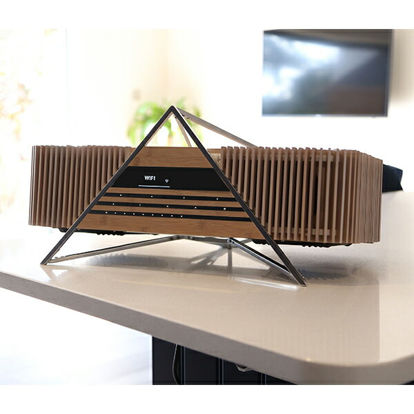 iFI Audio AURORA 一体型ワイヤレス・オーディオシステム