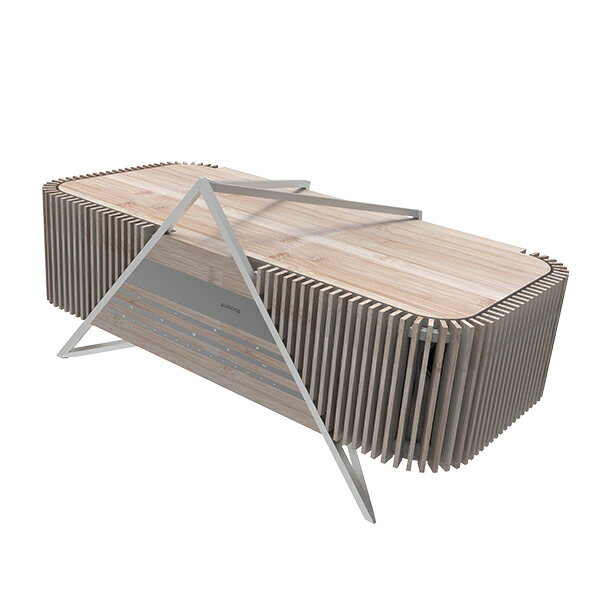 iFI Audio AURORA 一体型ワイヤレス・オーディオシステム