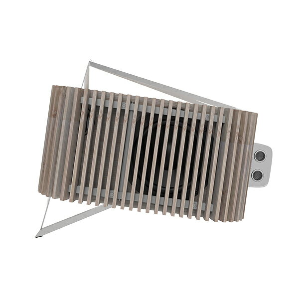 iFI Audio AURORA 一体型ワイヤレス・オーディオシステム