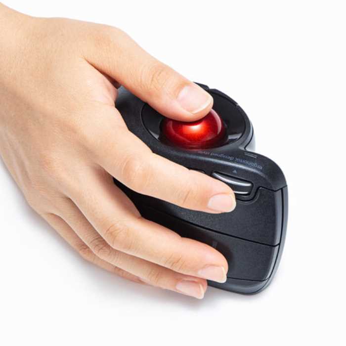 SANWA SUPPLY ワイヤレスエルゴトラックボール MA-WTB178BK