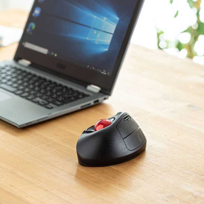 SANWA SUPPLY ワイヤレスエルゴトラックボール MA-WTB178BK