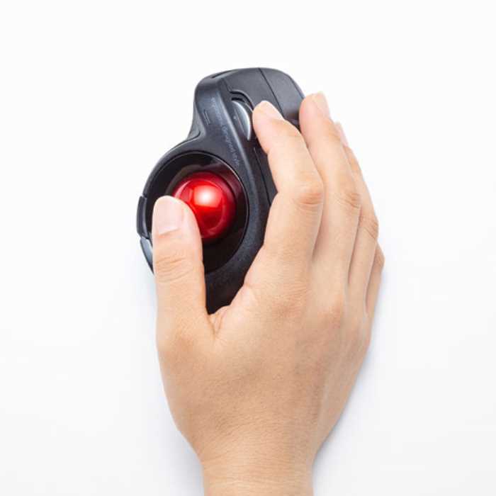 SANWA SUPPLY ワイヤレスエルゴトラックボール MA-WTB178BK