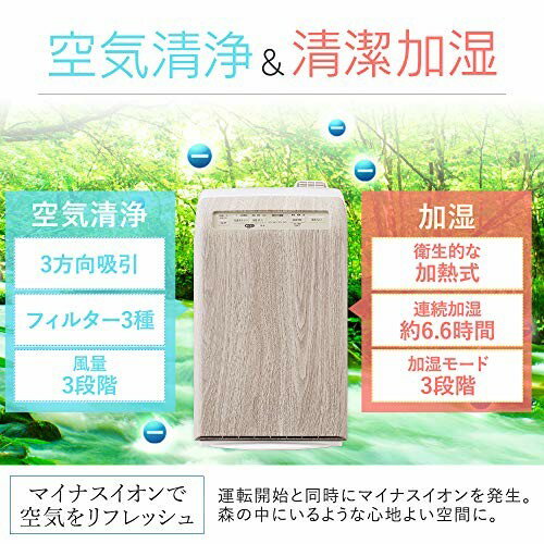 IRIS 加湿空気清浄機10畳 RHF-253-WM