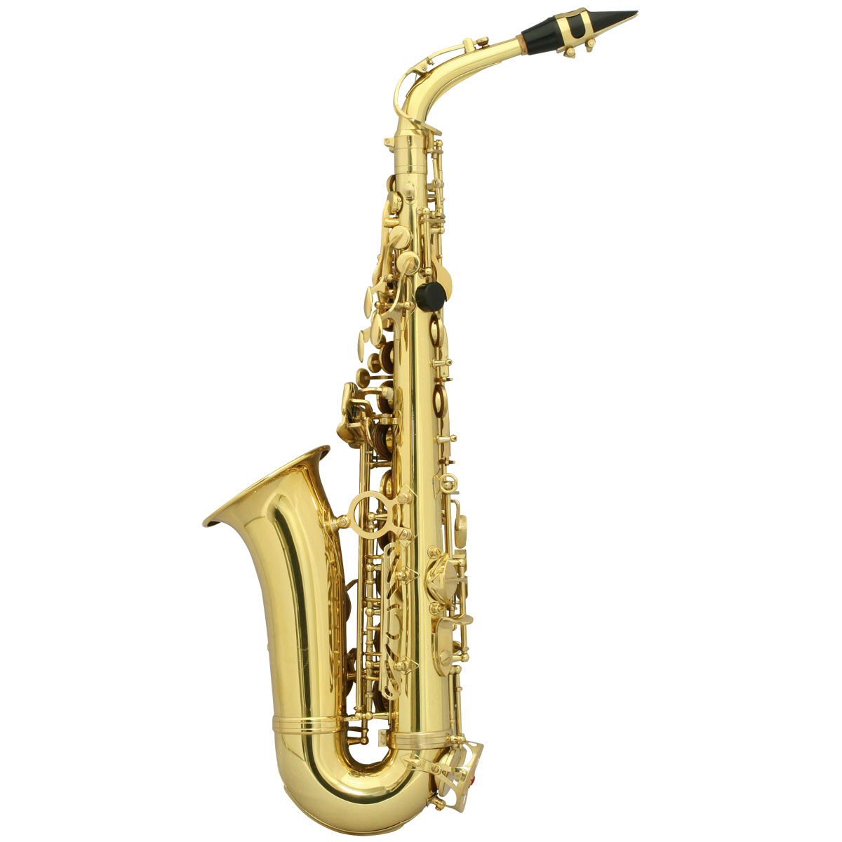 楽天市場】セルバ 初心者向けアルトサックス入門セット ALTOSAX SAS-100 | 価格比較 - 商品価格ナビ