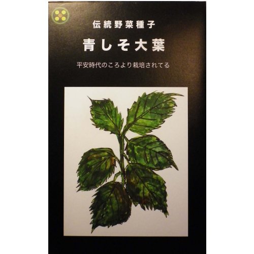 楽天市場】浜名農園 伝統野菜の種 青しそ大葉 約 畑懐 はふう | 価格
