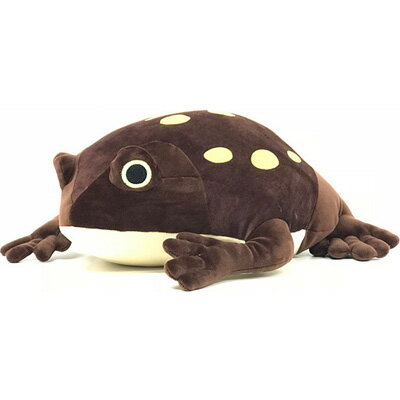 楽天市場】赤目アマガエル ぬいぐるみ アカメアマガエル かえる
