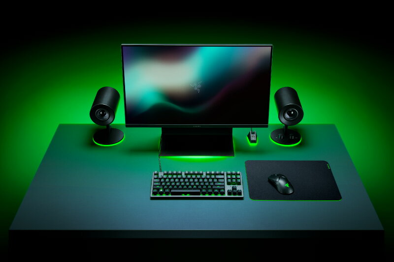 RAZER ゲーミングマウスパッド Gigantus V2 M RZ02-03330200-R3M1