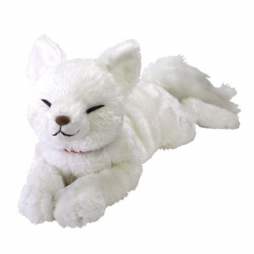 楽天市場】サンレモン ひざきつね（M）WH | 価格比較 - 商品価格ナビ