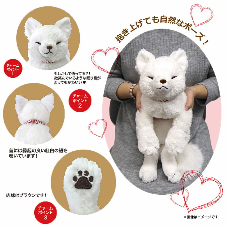 楽天市場】サンレモン ひざきつね（M）WH | 価格比較 - 商品価格ナビ