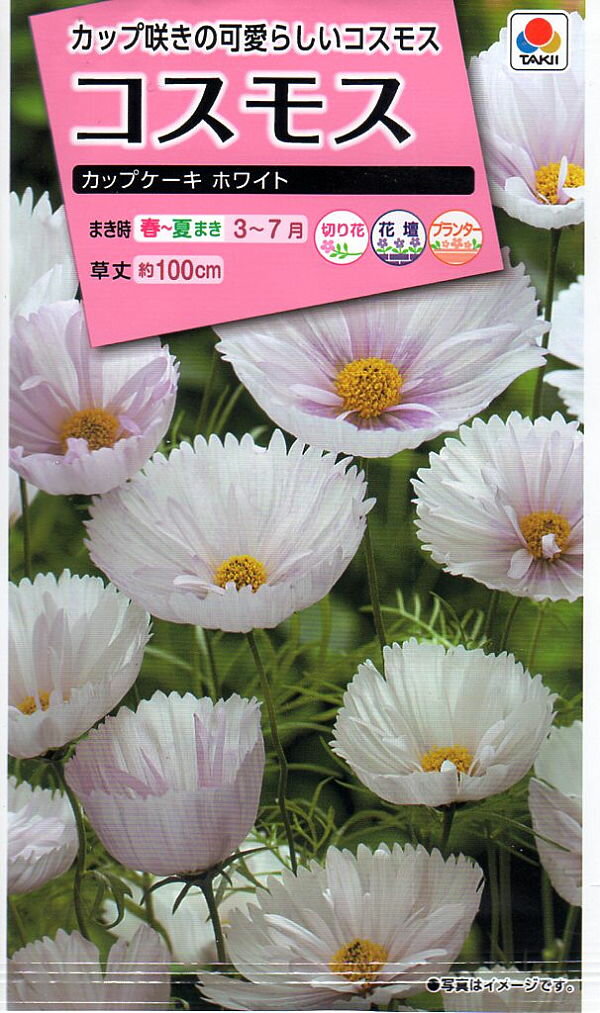 タキイ種苗 花種 コスモス カップケーキホワイト B06-032