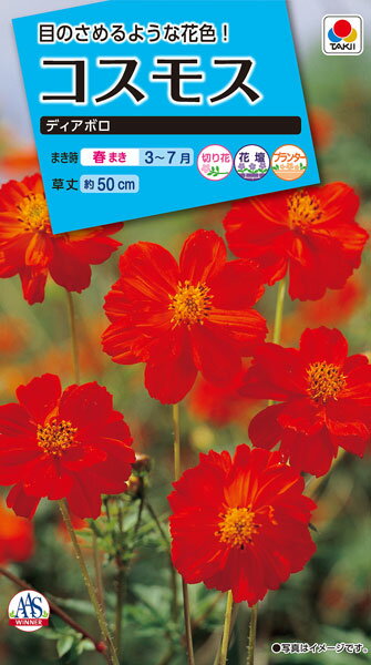 コスモスディアボロ 種