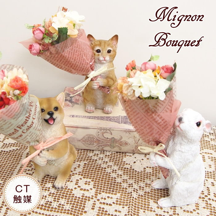 丸和貿易 CTミニョンブーク ねこ 420867301