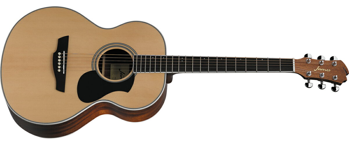 楽天市場】ホットラインミュージック James J-300D NAT