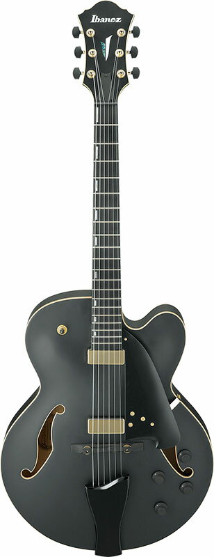 楽天市場】星野楽器 Ibanez AFC125-BKF full-hollow | 価格比較 - 商品