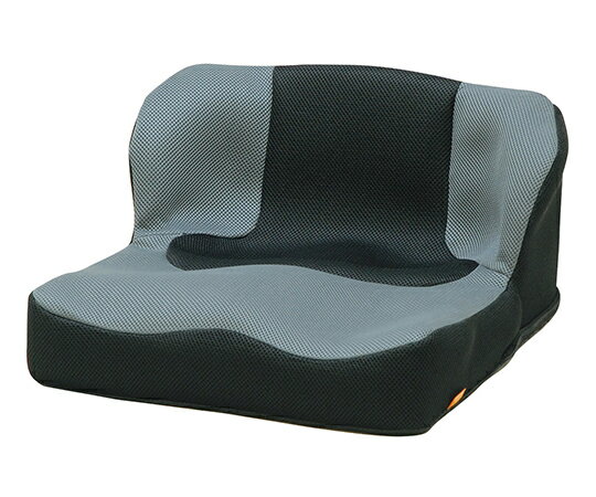 タカノ 座位保持クッション LAPS TC-L01 レッド TC-L01 タカノ 座位保持クッション LAPS 車いす用クッション