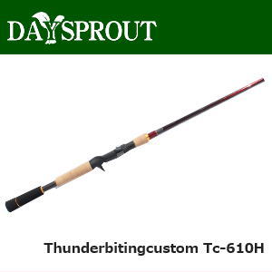 楽天市場】エバーグリーンインターナショナル エバーグリーン