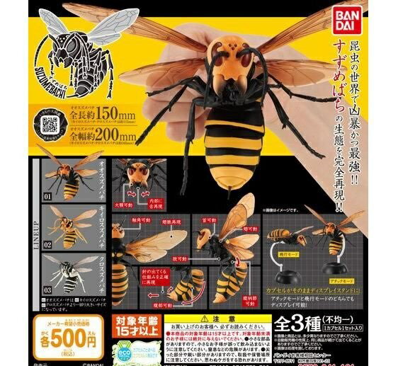 楽天市場】バンダイ バンダイ だんごむし03 フチゾリネッタイ